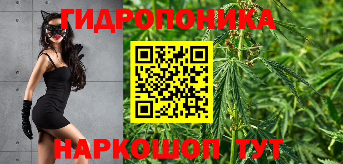 Шишки марихуана OG Kush  Вход с VPN  Каннабис ГИДРОПОН  Конопля планчик  Каннабис White Widow  Тельмана 